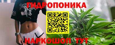 сатива Усинск