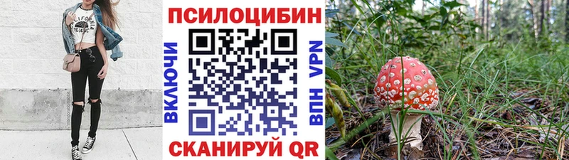 Галлюциногенные грибы мицелий Балабаново