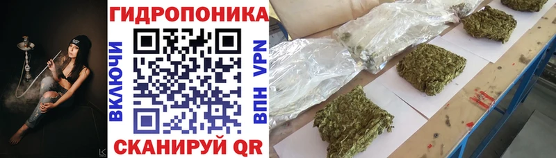 Шишки марихуана Amnesia цена Балабаново