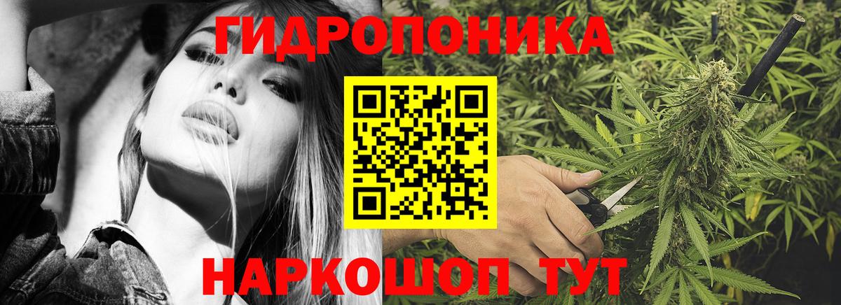 Конопля AK-47  Каннабис MAZAR  Каннабис план  Балабаново  Вход с VPN  Каннабис гибрид 